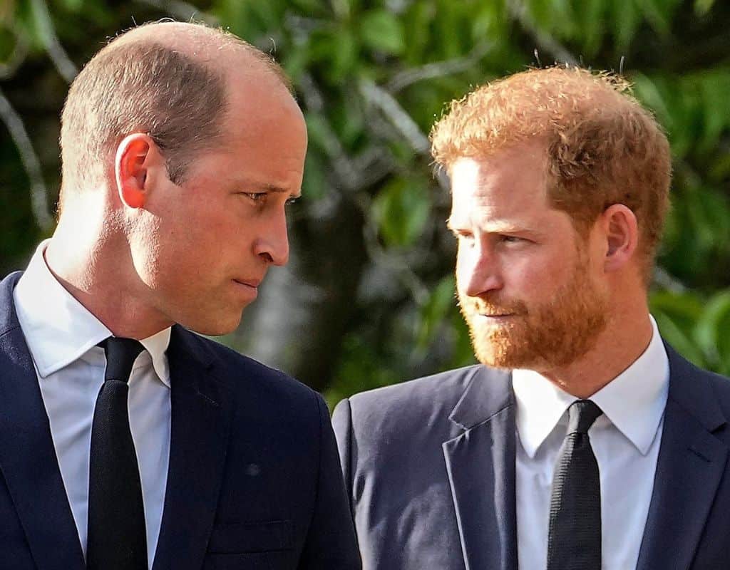 Prince Harry And William Fight