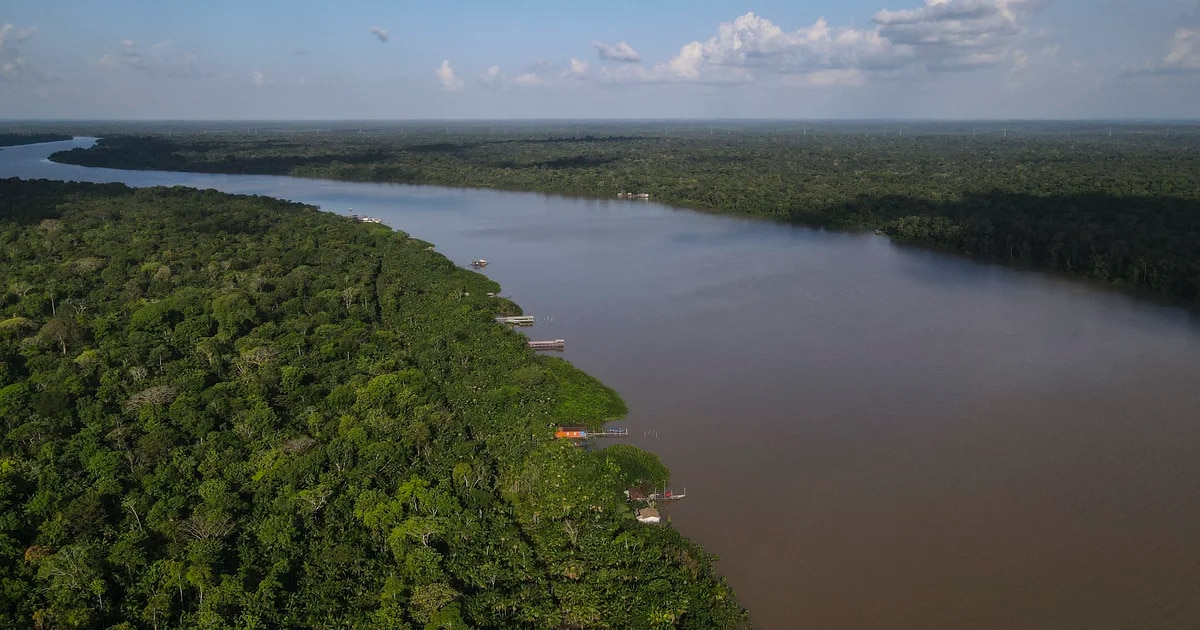 Krise im Amazonas: Dürre, Brände, gefälschte Emissionszertifikate und das Risiko von Ölbohrungen