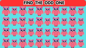 Brain Teaser: Can You Find The Odd One in 8 Seconds?
