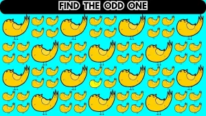 Brain Teaser: Can You Find the Odd One in 12 Seconds?