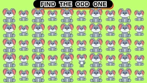 Brain Teaser Odd Challenge: Can You  Find the Odd One in 12 Seconds?